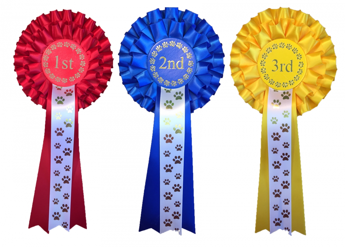 10 sets 1st to 6th star point rosettes sets horse/dog 